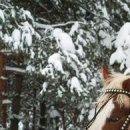 Сергій Даценко фотография #9 (источник - https://vk.com/id155483761)