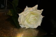 Фотография Будариной Марины