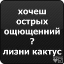 Міша Кушнір фотография #19 (источник - https://vk.com/id80969366)