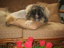 Εвдокия Κовалева фотография #3 (источник - https://vk.com/id139275877)