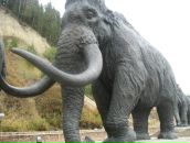 Фотография Кораблёва Дениса