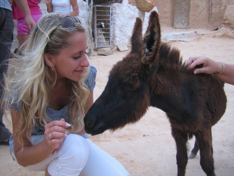 Дмитрий Иванов фотография #47