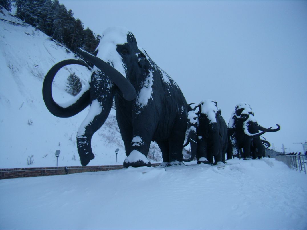 Антон Панов фотография #42