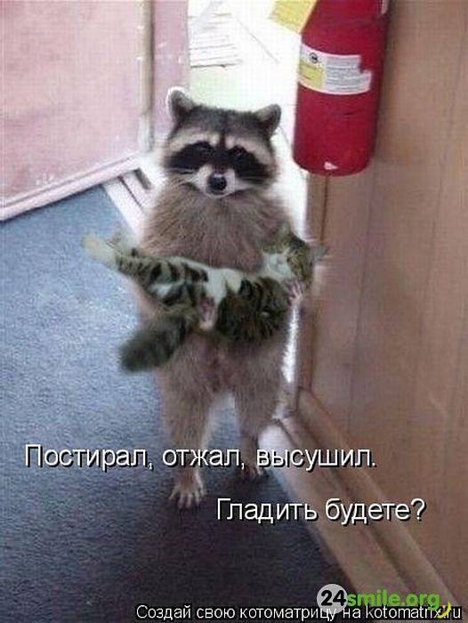 Ivan Vik фотография #12