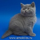 Ілона Блажкун фотография #5 (источник - https://vk.com/id120832472)