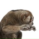 Фотография Mykhaylov Andrey