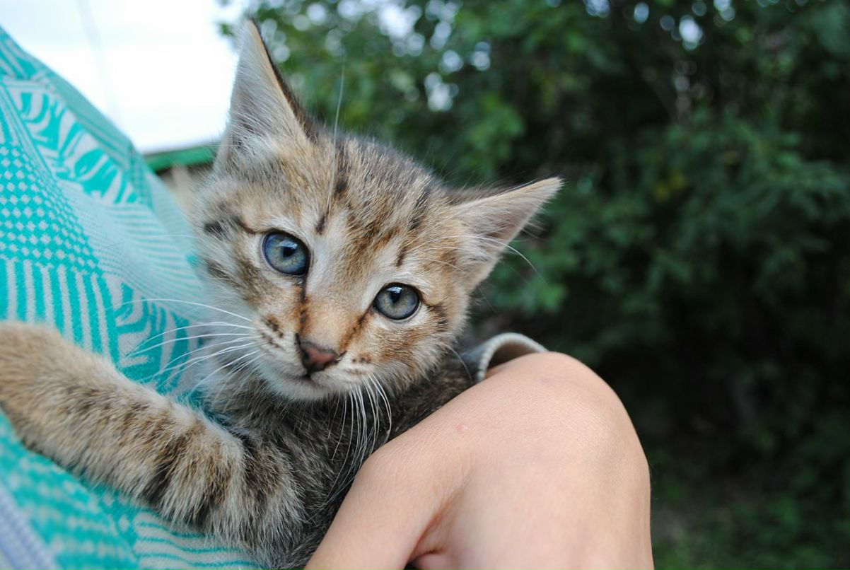 За Ри фотография #37