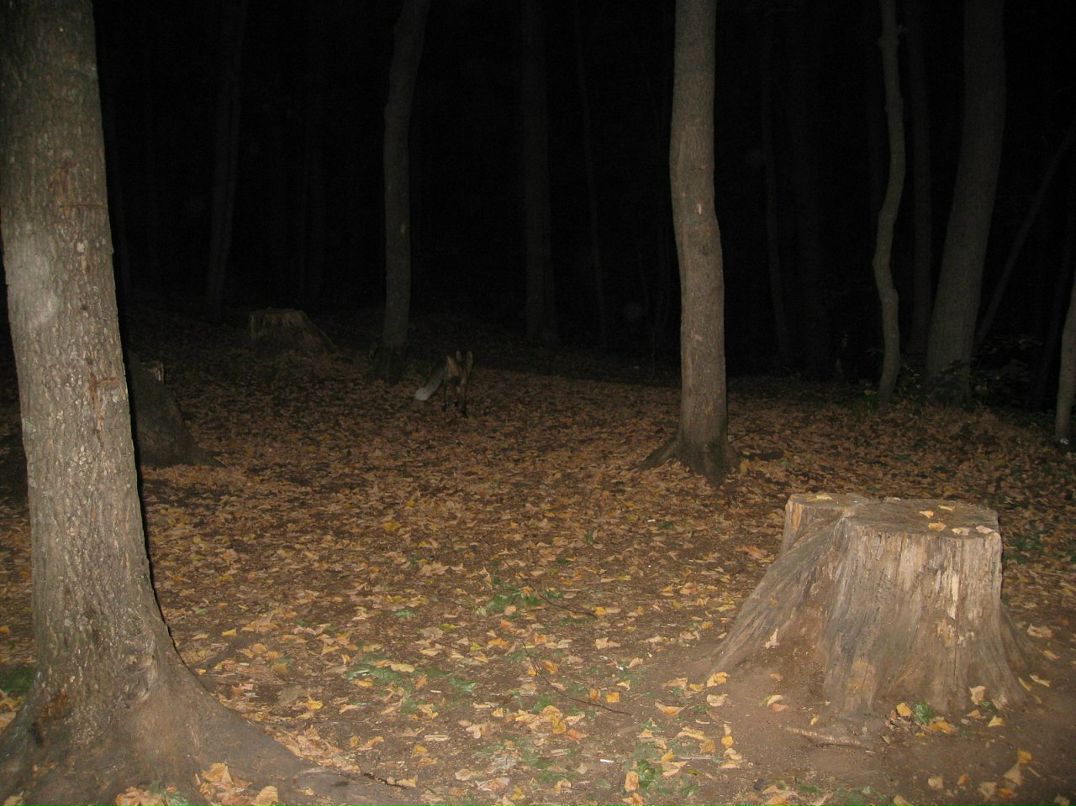 Rope Jumping фотография #4