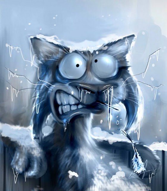 Кос Щер фотография #7