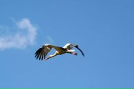 Фотография Мироновой Юлии