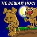 Катруся Поцілуйко фотография #30 (источник - https://vk.com/id57288733)