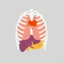 Фотография Zykin Алексея