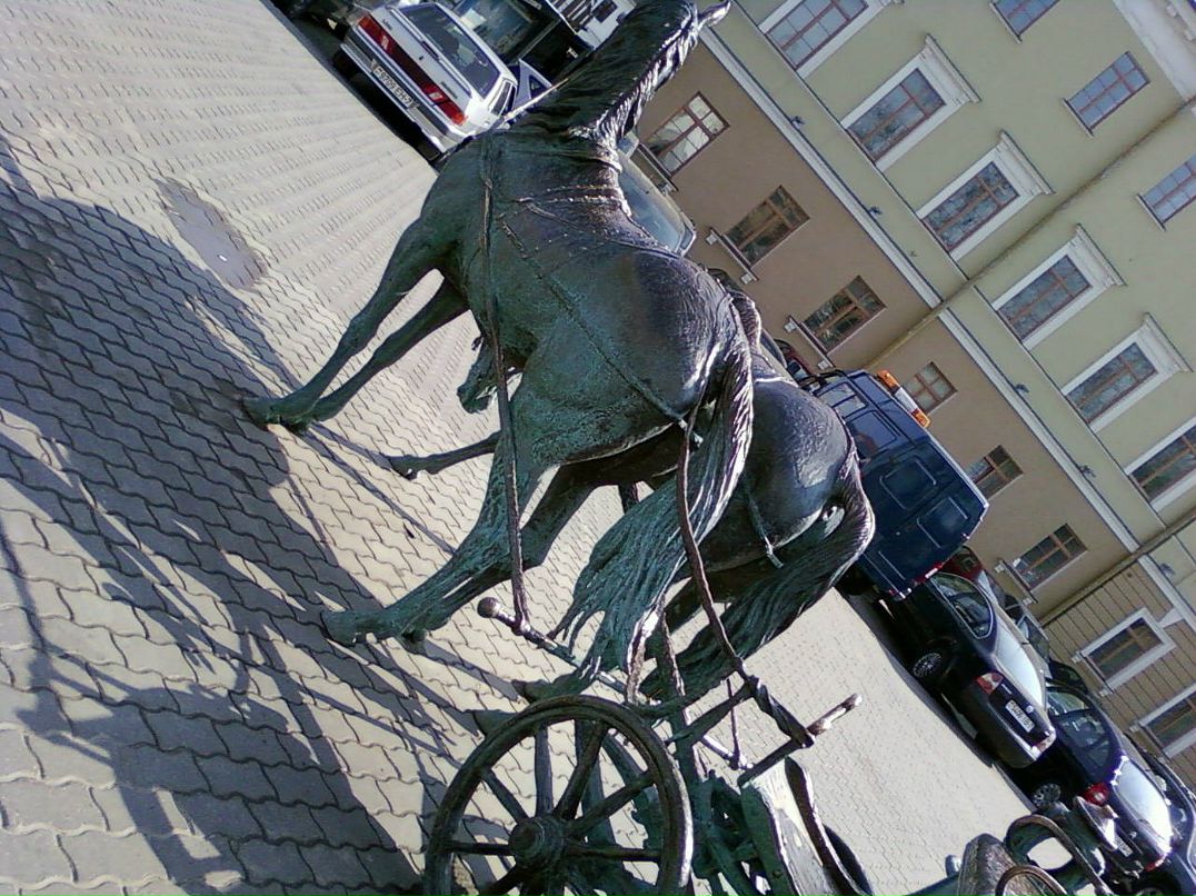 Дмитрий Мальцев фотография #46