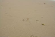 Фотография Ванаг Светланы