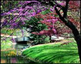 Фотография Ворониной Анастасии