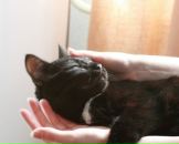 Фотография Удаловой Надежды