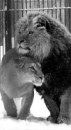Інуся Костанецкая фотография #1