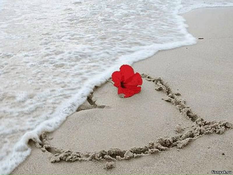 Katongo Chanda фото №1