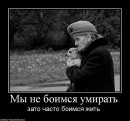 Юлічка Чернишенко фотография #29 (источник - https://vk.com/id60774495)