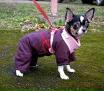 Фотография Кругловой Марины