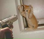 Фотография Волковой Натальи