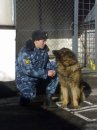 Фотография Корельского Ивана