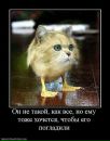 Софья Раппа фотография #7 (источник - https://vk.com/id3152804)
