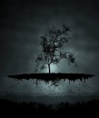 Фотография Анастасия Жигач