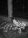 Діана Перхалюк фотография #10 (источник - https://vk.com/id61646791)