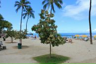 Сергей Тимофеев фотография #23 (источник - https://vk.com/id766118)