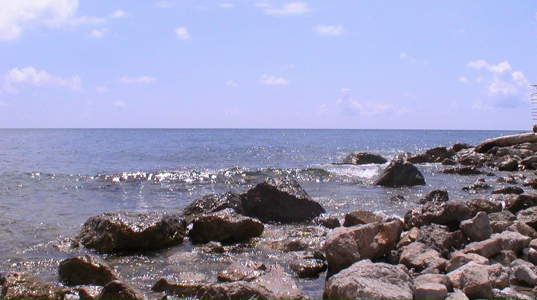 Антон Лебедь фото №35