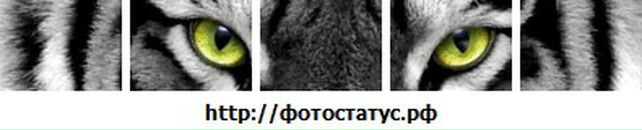 Вадим Гостєв фотография #27 (источник - https://vk.com/id104045231)