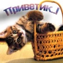 Ліза Кравценюк фотография #1