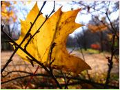 Фотография Бурцевой Юлии