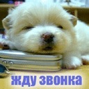 Влад Погорілко фотография #17 (источник - https://vk.com/id118198936)