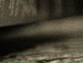 Тамілка Зільник фотография #19 (источник - https://vk.com/id110814264)