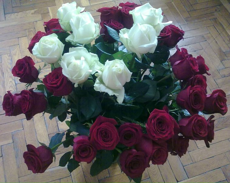 №17, Екатерина Боброва, 45 лет, Санкт-Петербург №17, Екатерина Боброва, 45 лет, Санкт-Петербург