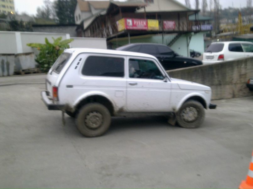 Дэвид Чарквиани фотография #10