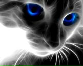 Фотография Константиновой Екатерины