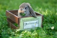 Фотография Lena Yeah