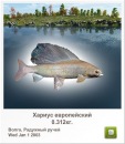 Майкл Джордан фотография #37 (источник - https://vk.com/id100697649)