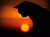 Фотография Лемяскиной Екатерины