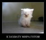 Фотография Казанова Ильи