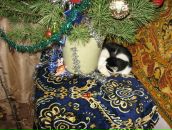 Андрій Дацюк фотография #40 (источник - https://vk.com/id27747637)