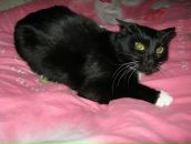 Андрій Дацюк фотография #49 (источник - https://vk.com/id27747637)