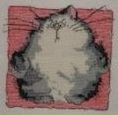 Фотография Поповой Анастасии