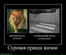 Макс Пронів фотография #16 (источник - https://vk.com/id44517894)