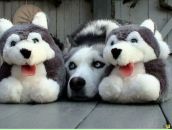 Фотография Моисеевой Марии