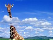 Фотография Богдановой Гульнары