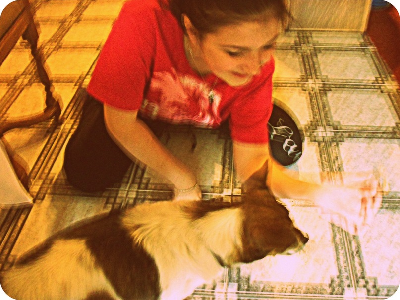 Daniela Pop фотография #39